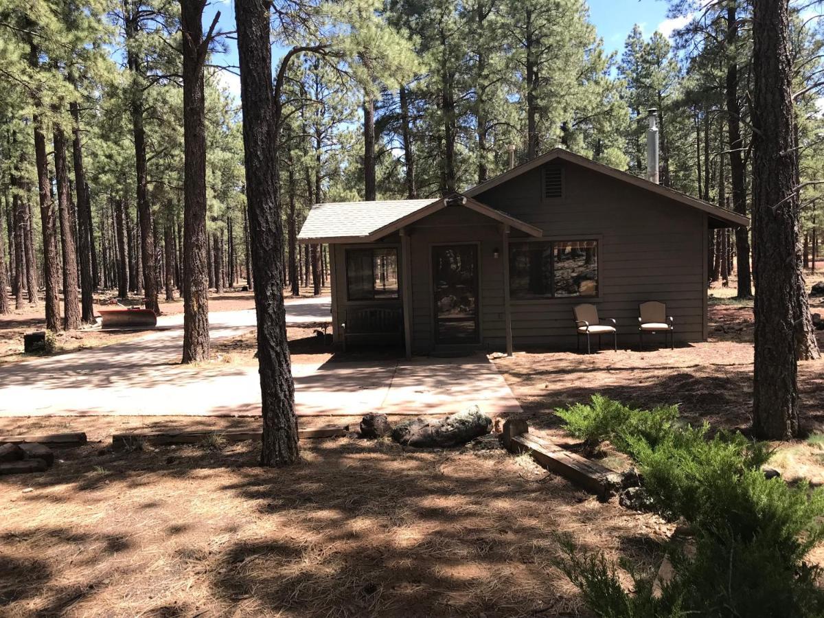 Grand Canyon Cottage At Historic Wrigley Ranch With Horseback Riding & Shooting Parks Extérieur photo