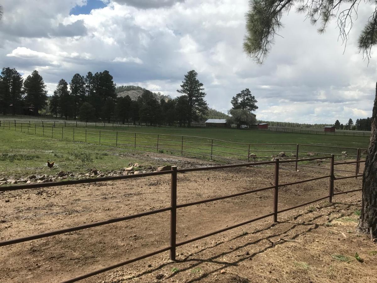 Grand Canyon Cottage At Historic Wrigley Ranch With Horseback Riding & Shooting Parks Extérieur photo